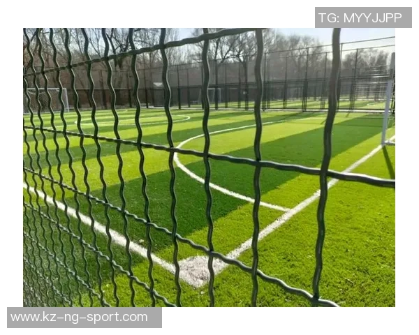 运动公园足球场的魅力与活力探索让我们一起感受足球的激情与乐趣